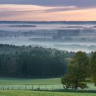 Auch Rehe lieben diesen Ausblick