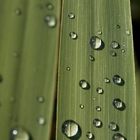 Auch schlechtes Wetter hat seine schönen Seiten :)