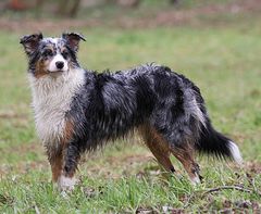 - auch Schmuddelwetter... -