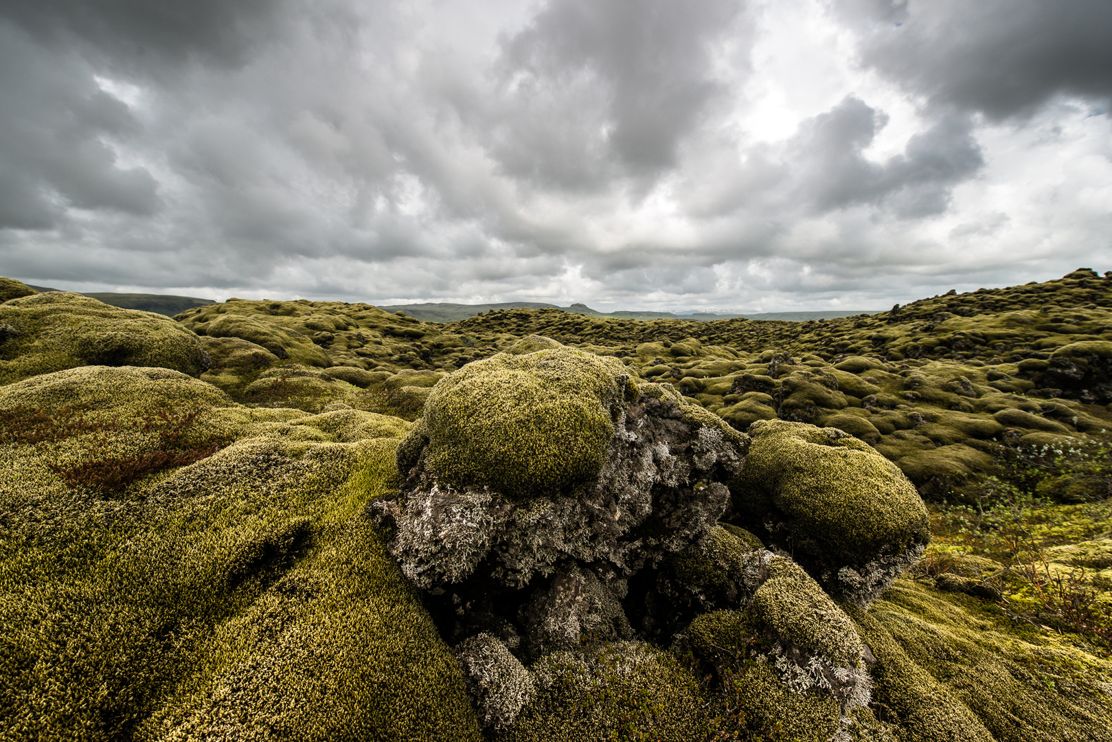 Auch so kann Island aussehen - Mooslandschaft  