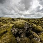 Auch so kann Island aussehen - Mooslandschaft  