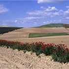 Auch Spanien hat seine Toscana-Landschaften