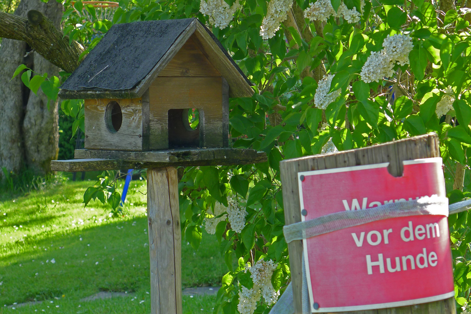 Auch springgewaltige, beißwütige Bonsai-Pinscher ...