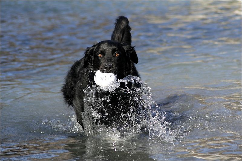 Auch Wasser ist kein Hindernis...