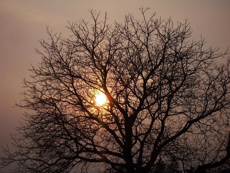 Auch wenn die Sonne untergeht...