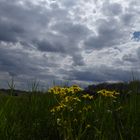 Auch wenn es so aussieht - kein Regen