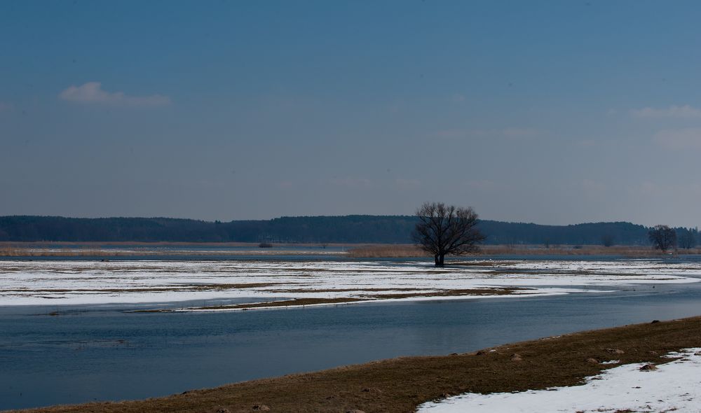 auch wenn heute kalendarisch der Frühling beginnt: