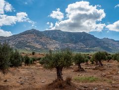 auch wenn sich die sonne grad versteckt...