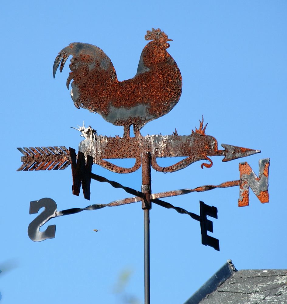 auch Wetterhähne haben ihre Bedürfnisse...