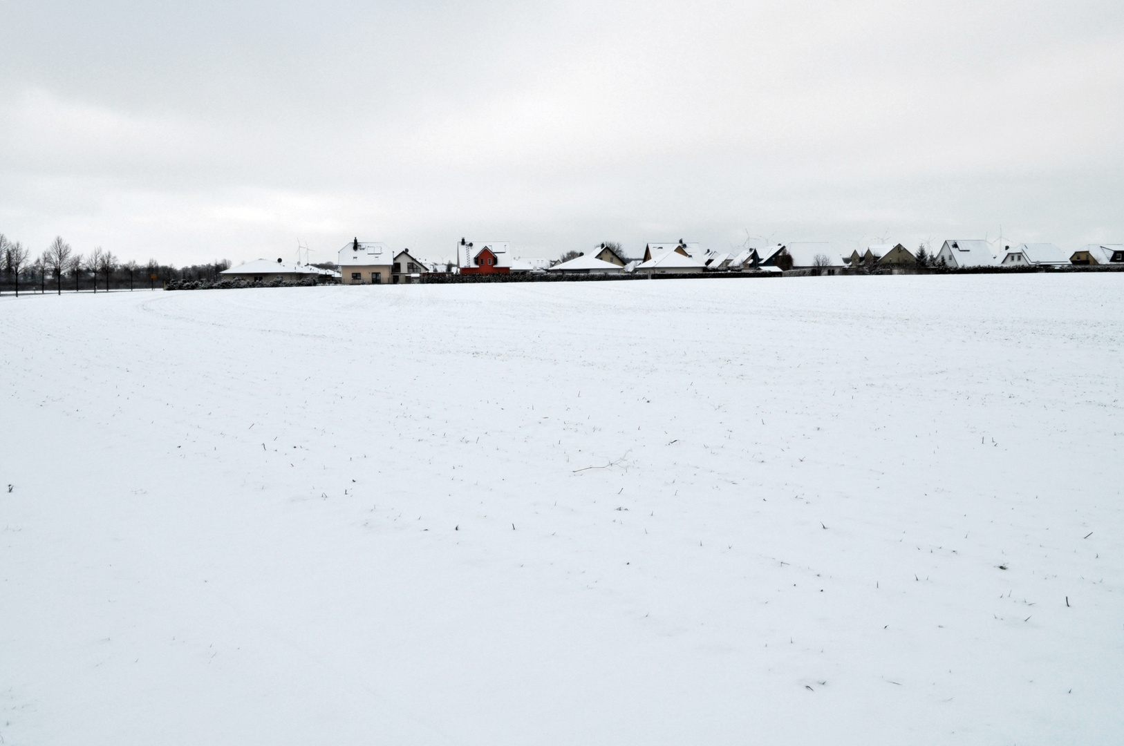 Auch wir hatten mal Schnee im Winter