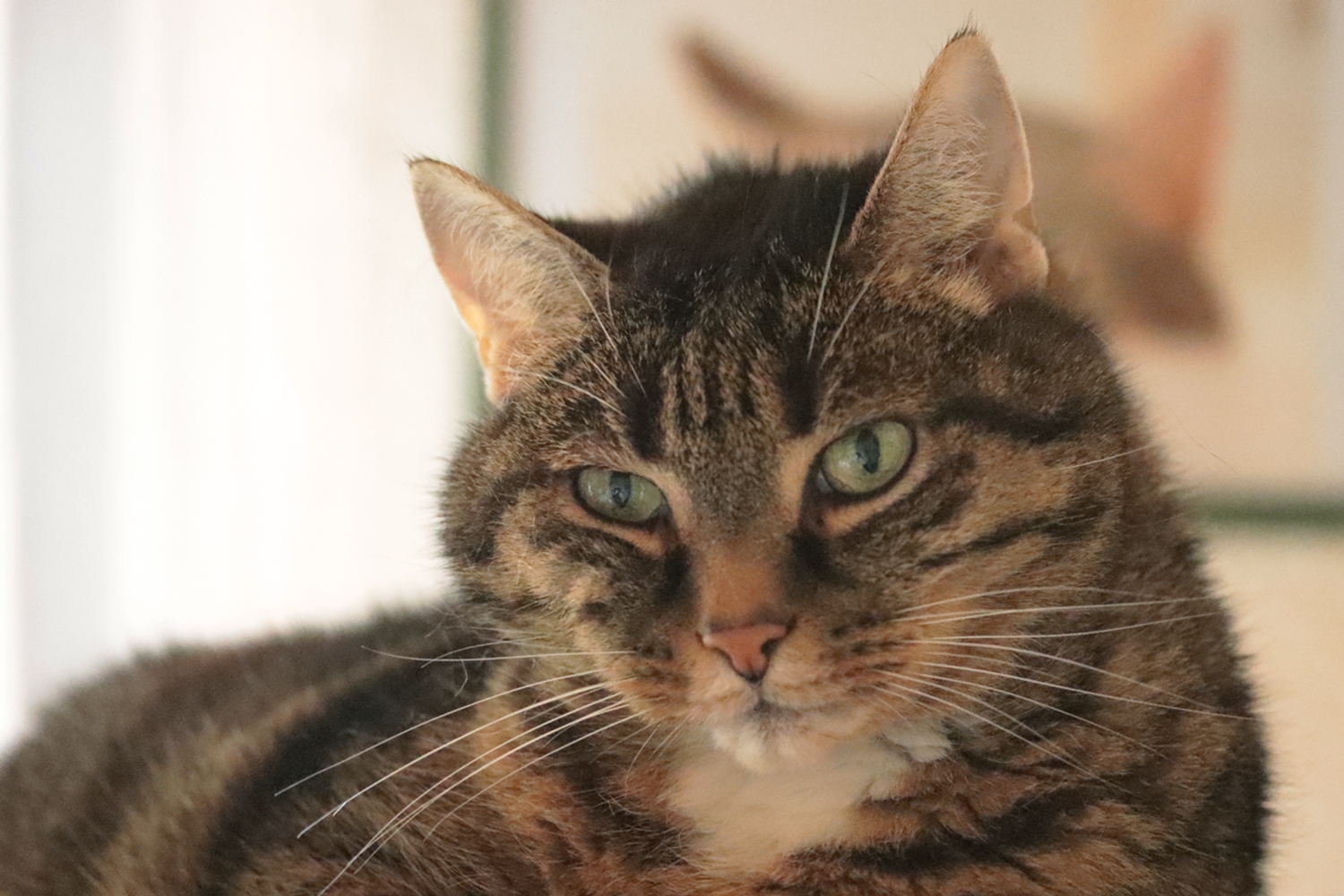 ....auch wir machen mit.....