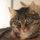 ....auch wir machen mit.....