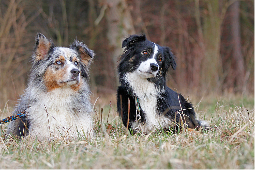 ... auch zwei liebe Models