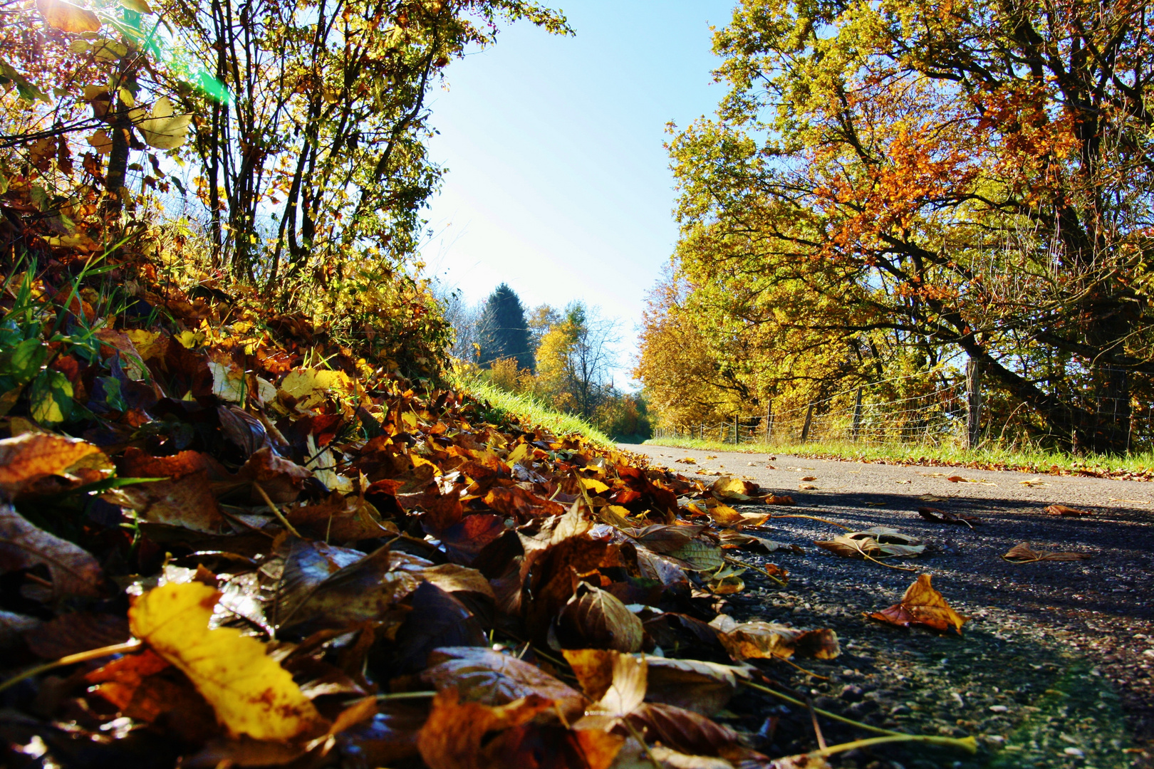 Auch Zwerge geniessen den Herbst!