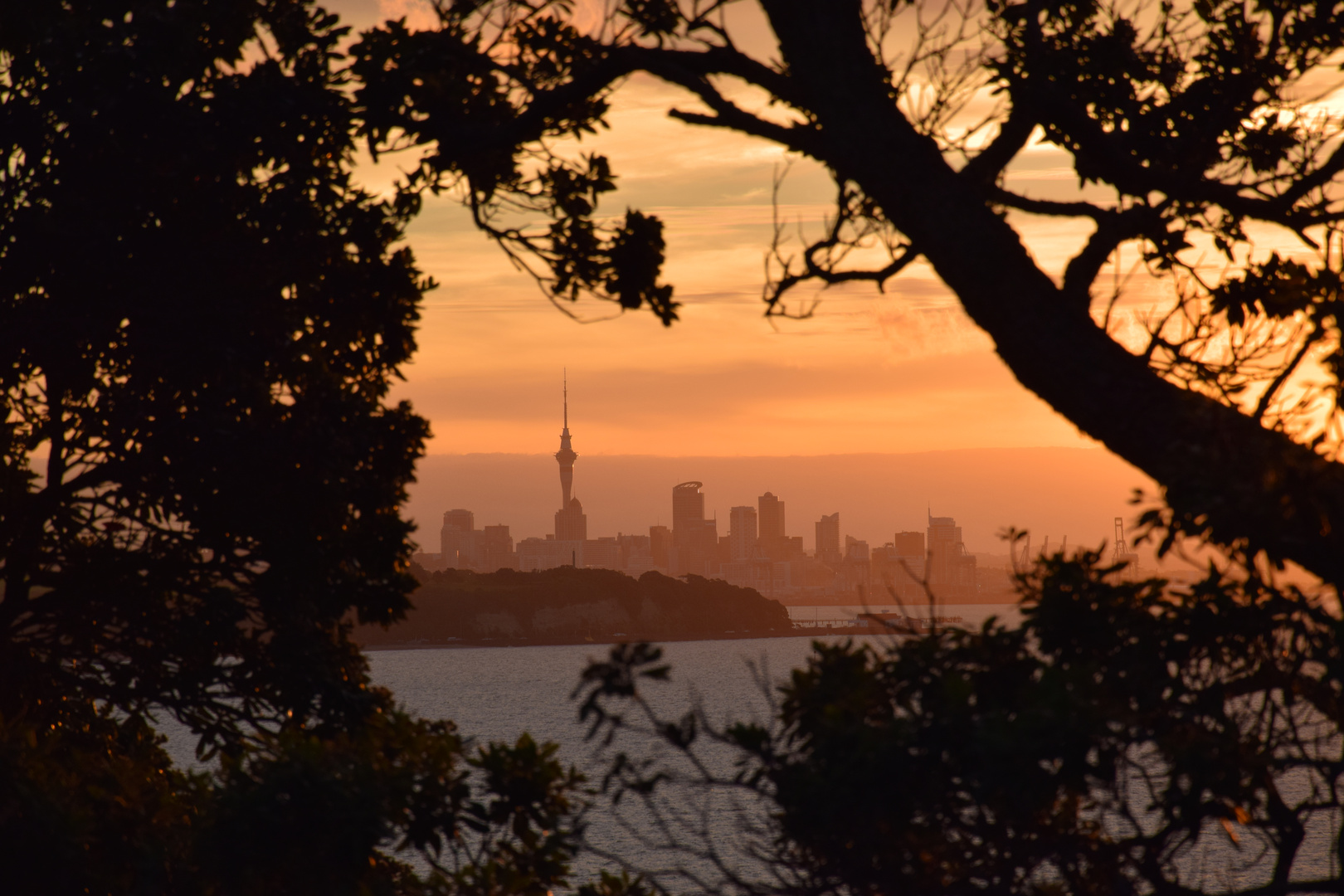 Auckland...