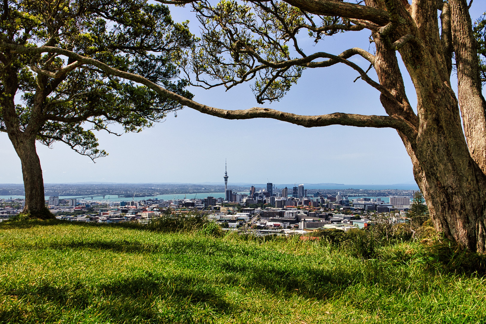 Auckland 