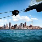 Auckland // America's Cup Race