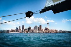 Auckland // America's Cup Race