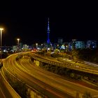 Auckland at night