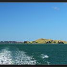 Auckland - Browns Island