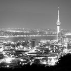 Auckland by night