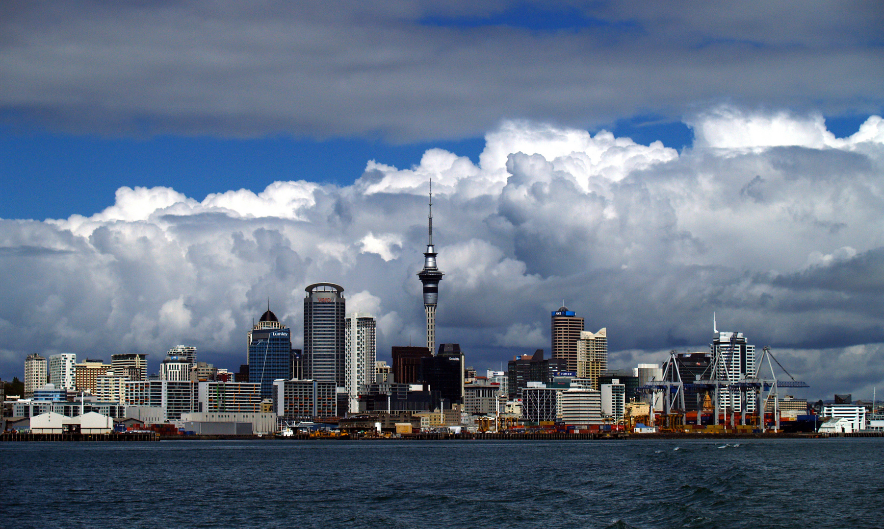 Auckland City