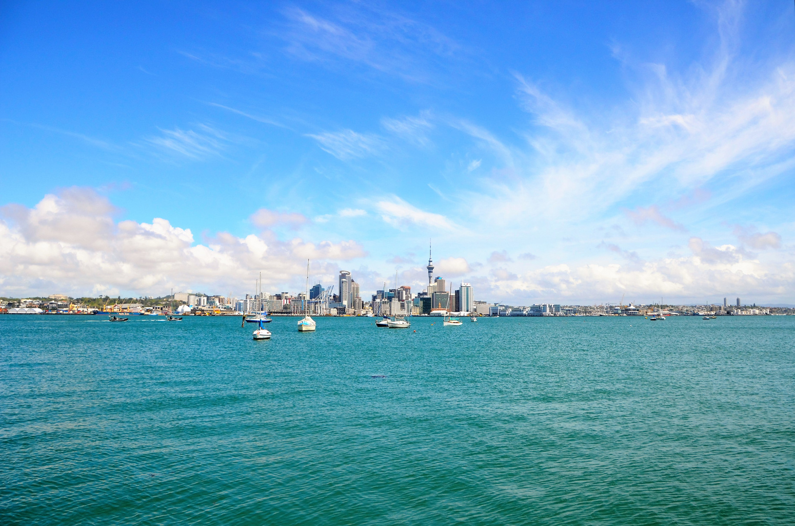 auckland city