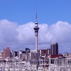 Auckland - City of Sails