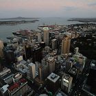 Auckland (D3x)