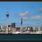 Auckland - Hafenrundfahrt