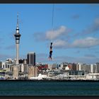 Auckland - Hafenrundfahrt