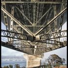 Auckland Harbor Bridge