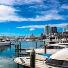 Auckland Harbour