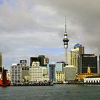 Auckland Harbour