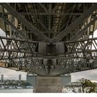 Auckland Harbour Bridge