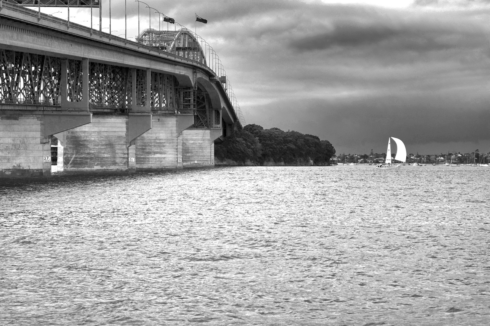 Auckland Harbour Bridge