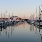 Auckland-Harbourbridge