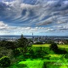 Auckland HDR