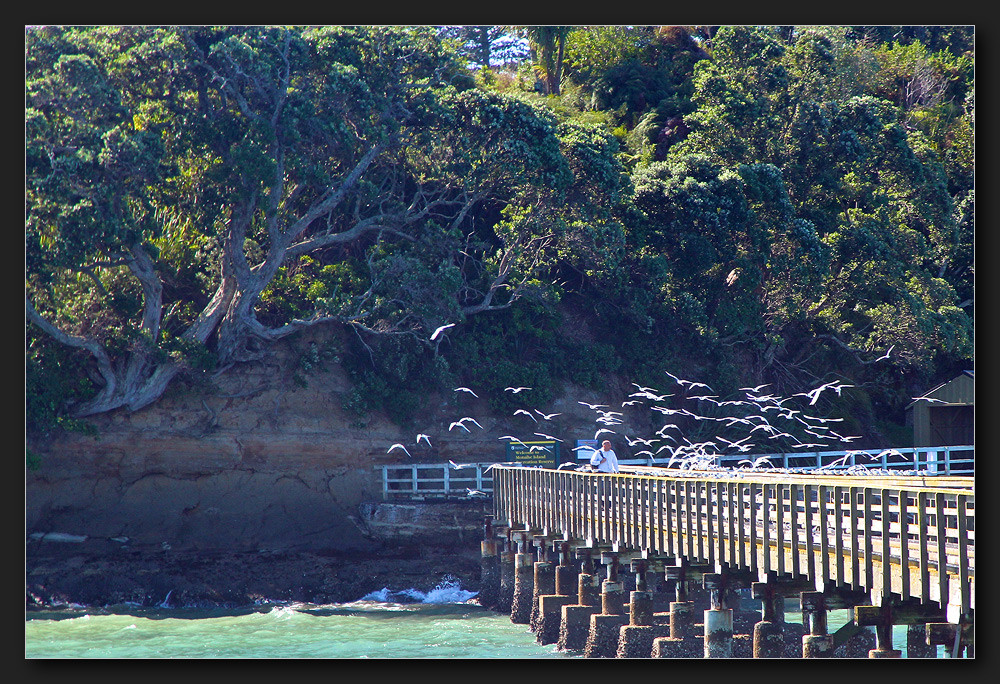 Auckland - Motuihe Island