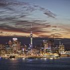 Auckland nights as its best