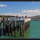 Auckland - Orakei Jetty