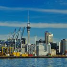 === Auckland Skyline ===