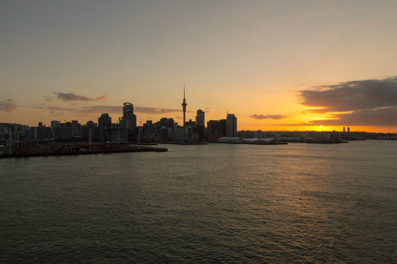 Auckland Skyline