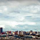 Auckland Skyline