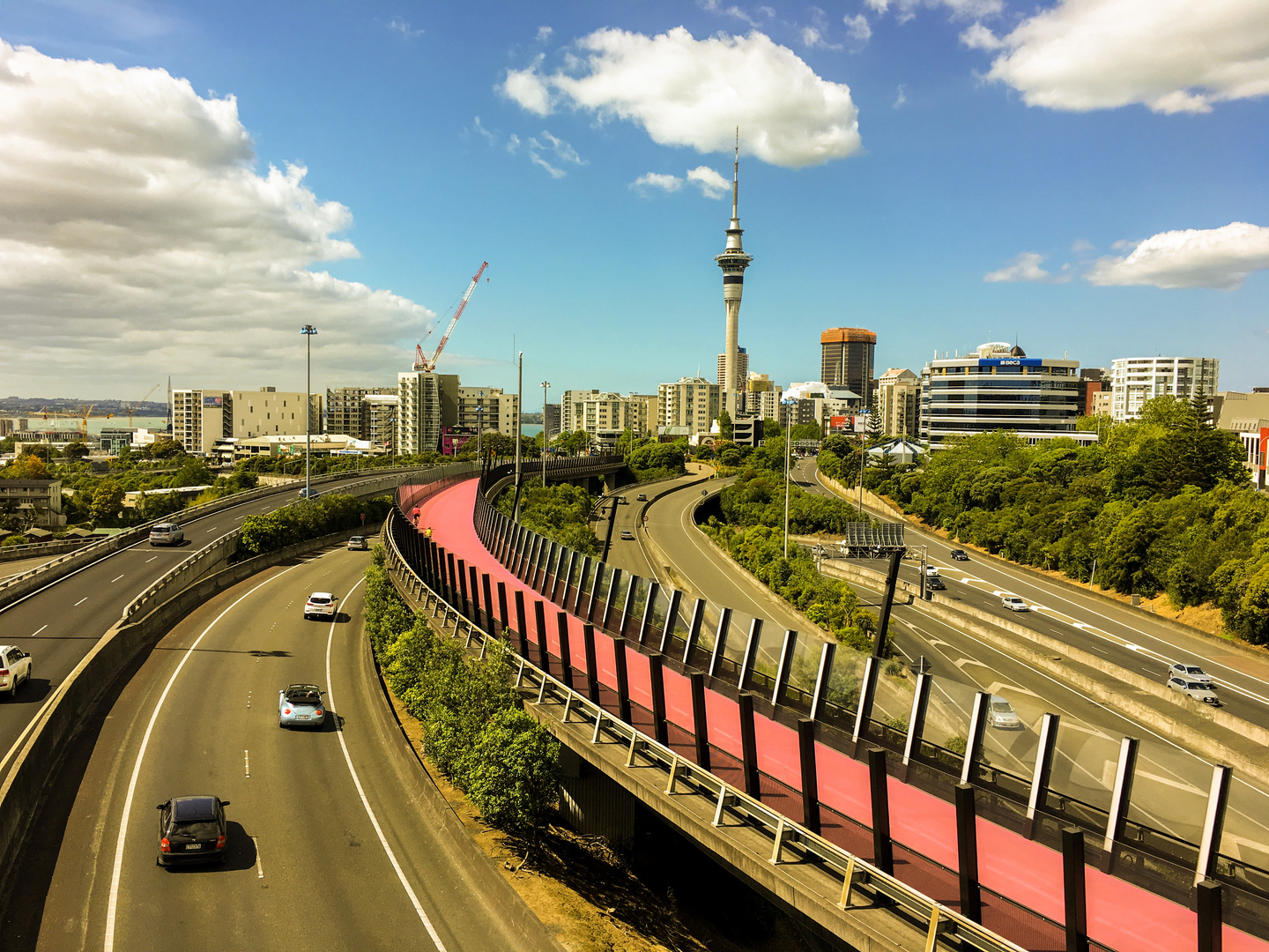 Auckland Skyline