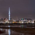 Auckland Skyline