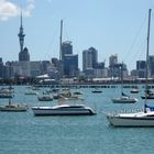 Auckland Skyline