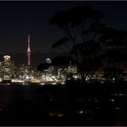 Auckland Skyline