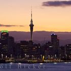 Auckland Stadt