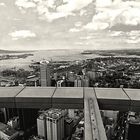 ... Auckland ... vom Fernsehturm ...